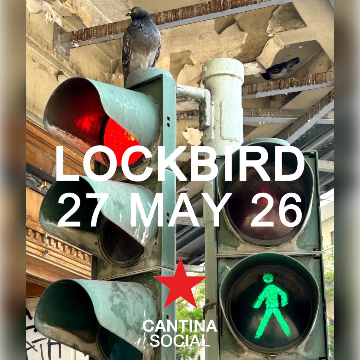 Lockbird