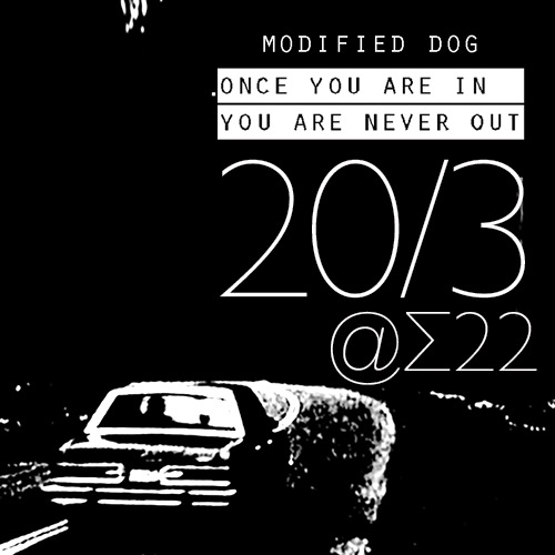 Modified Dog