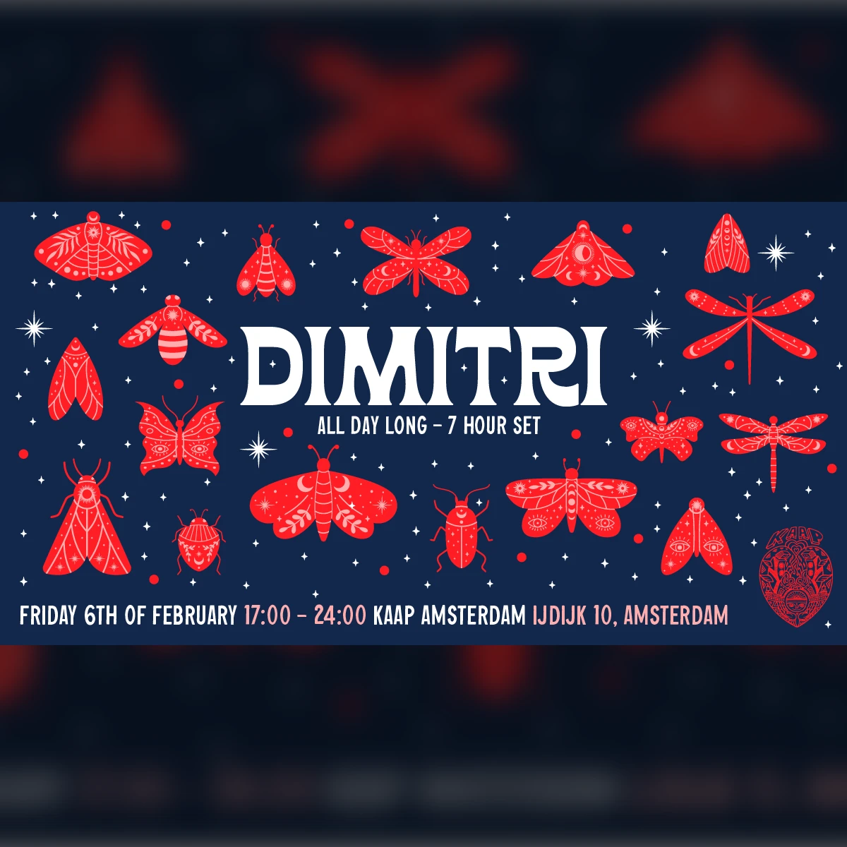 Dimitri all day long