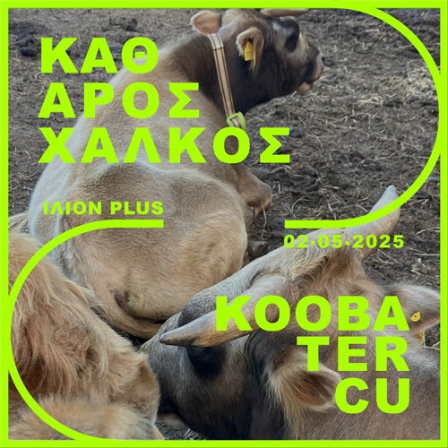Kooba Tercu & Καθαρός Χαλκός