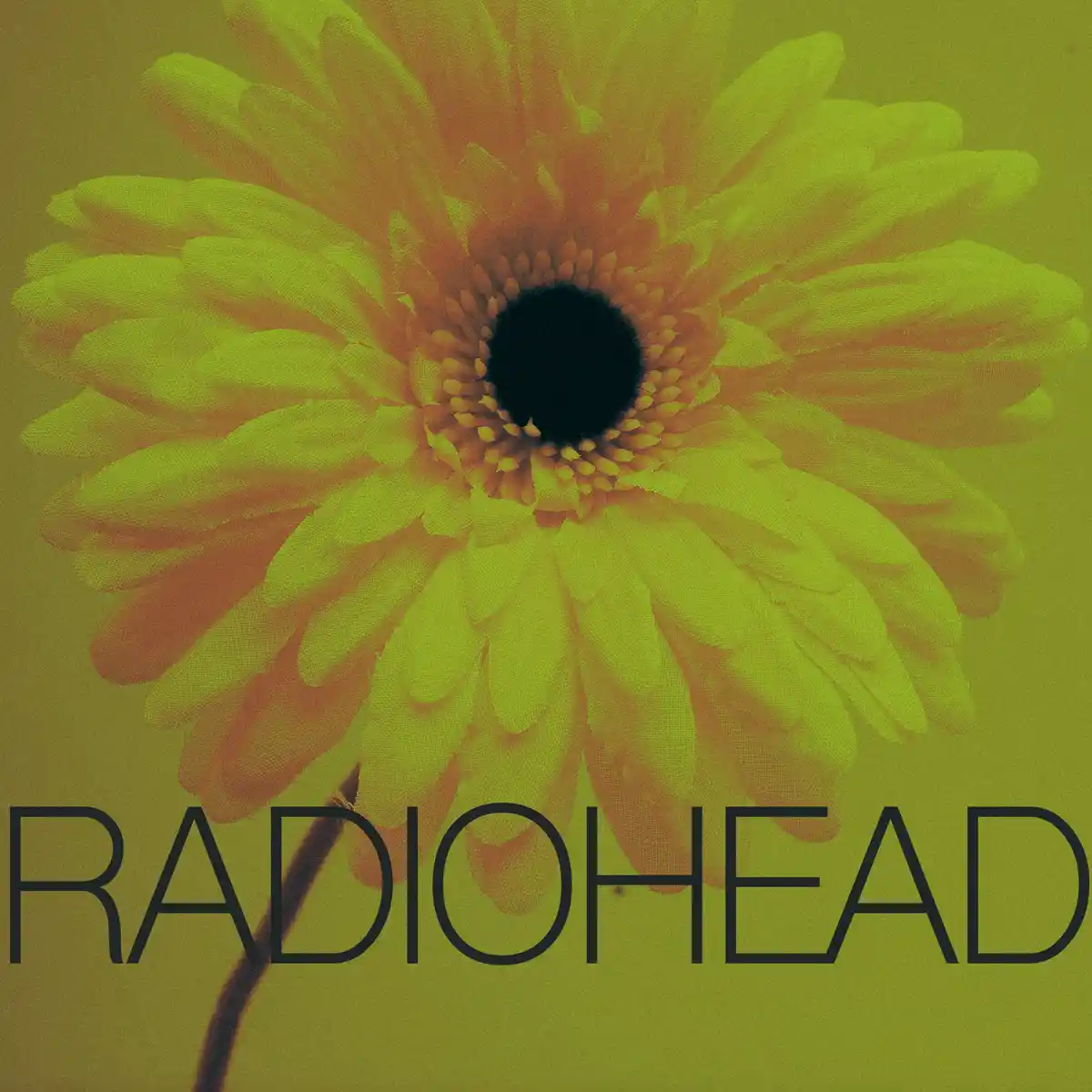 Sunday Tribute - Radiohead
