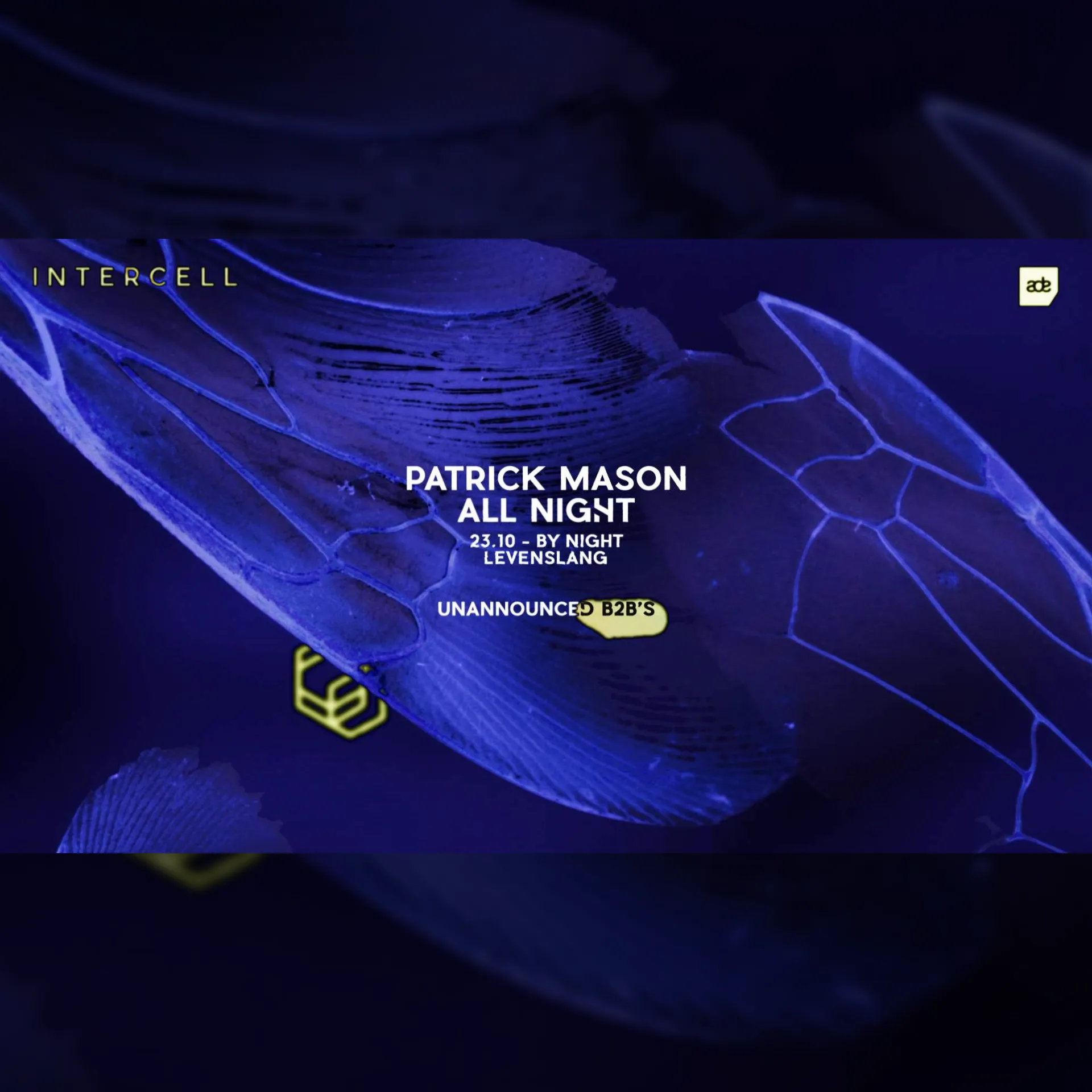 Intercell x Patrick Mason All Night - ADE