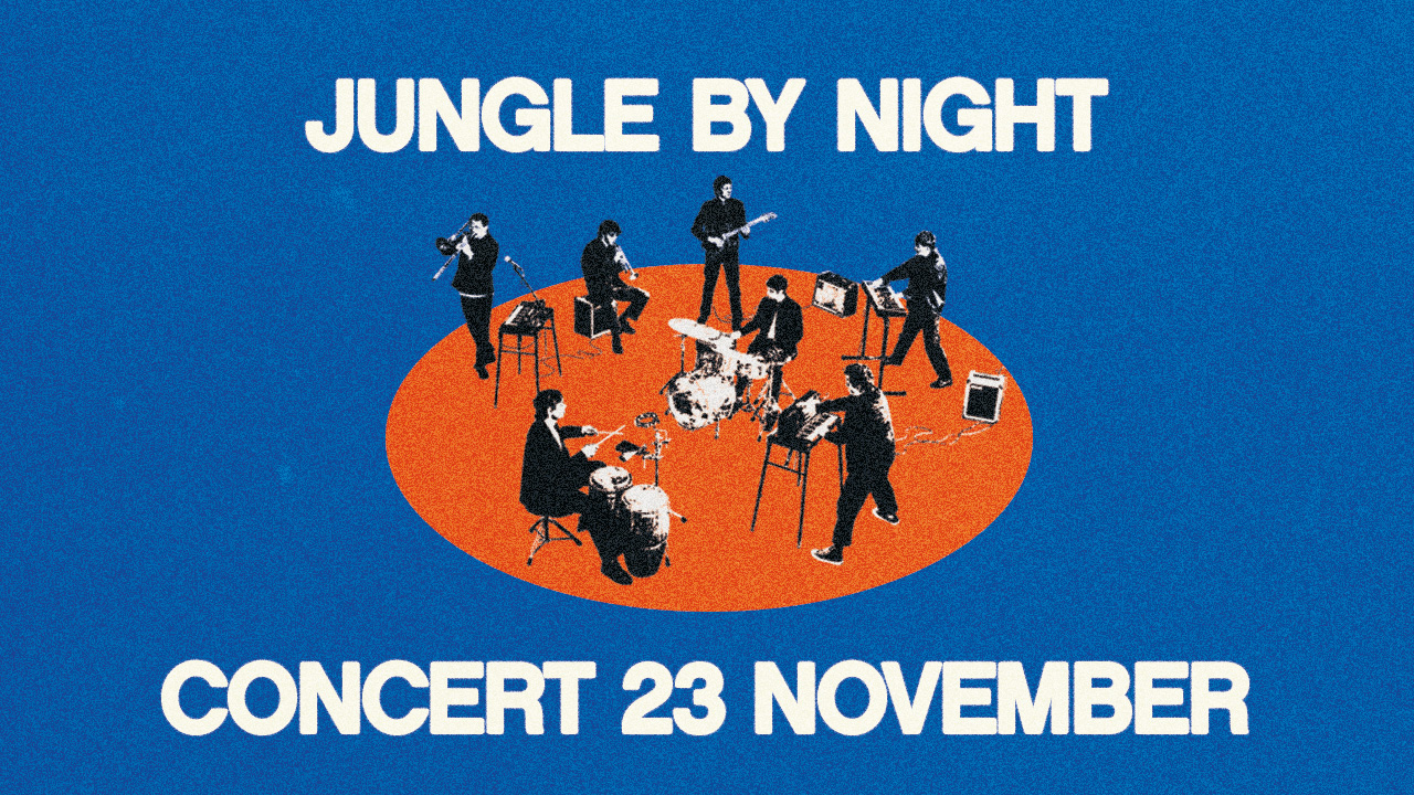 SATURDAY: JUNGLE BY NIGHT
