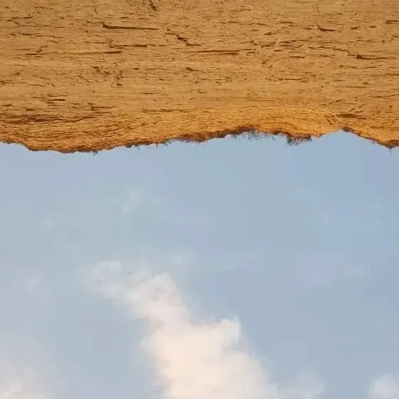 Jorge invites Nikolas Gale