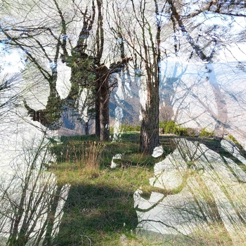 “Dave De Rose presents…” #6