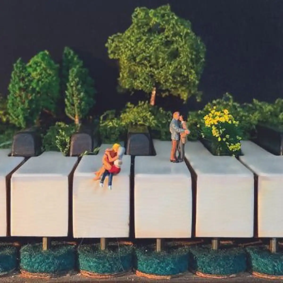 Jardin partagé