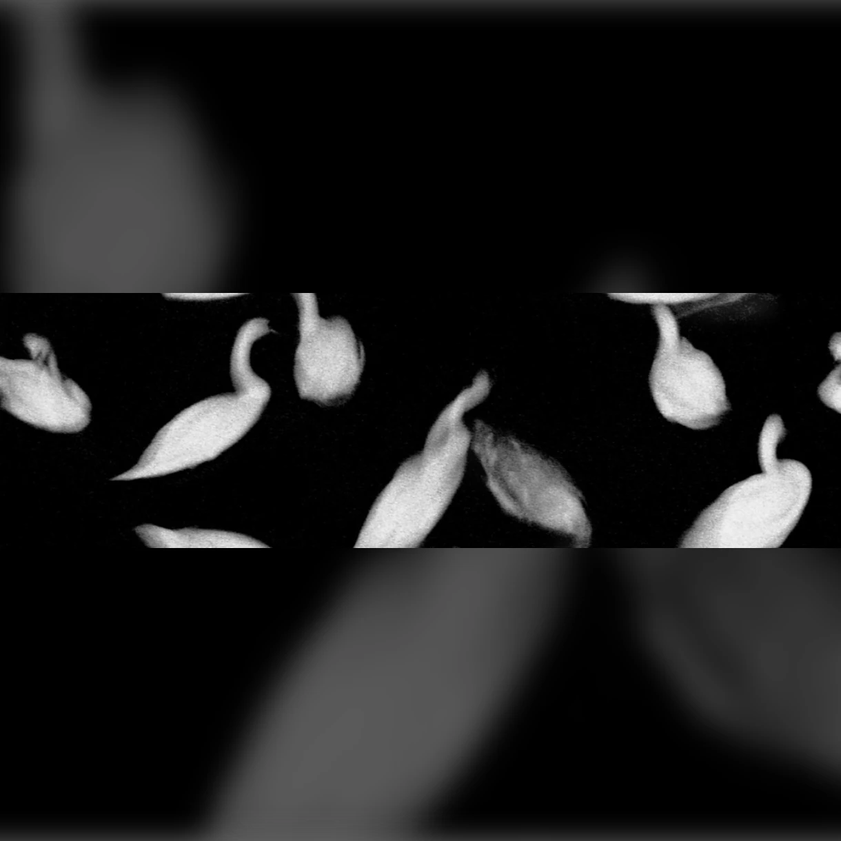 Ignatz / John Also Bennett