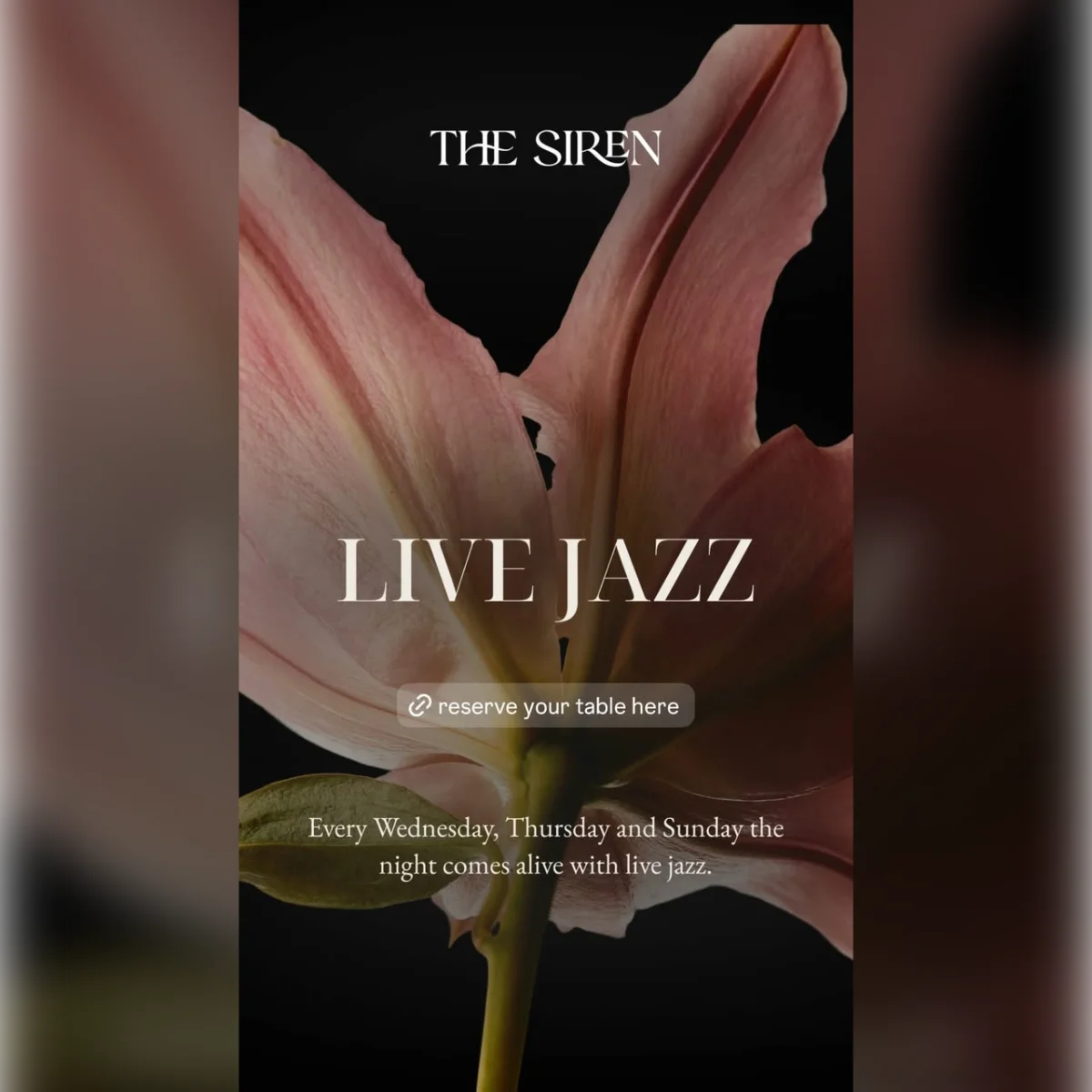 Live Jazz 