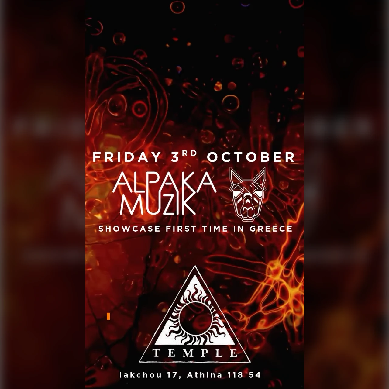 ALPAKA MUZIK SHOWCASE