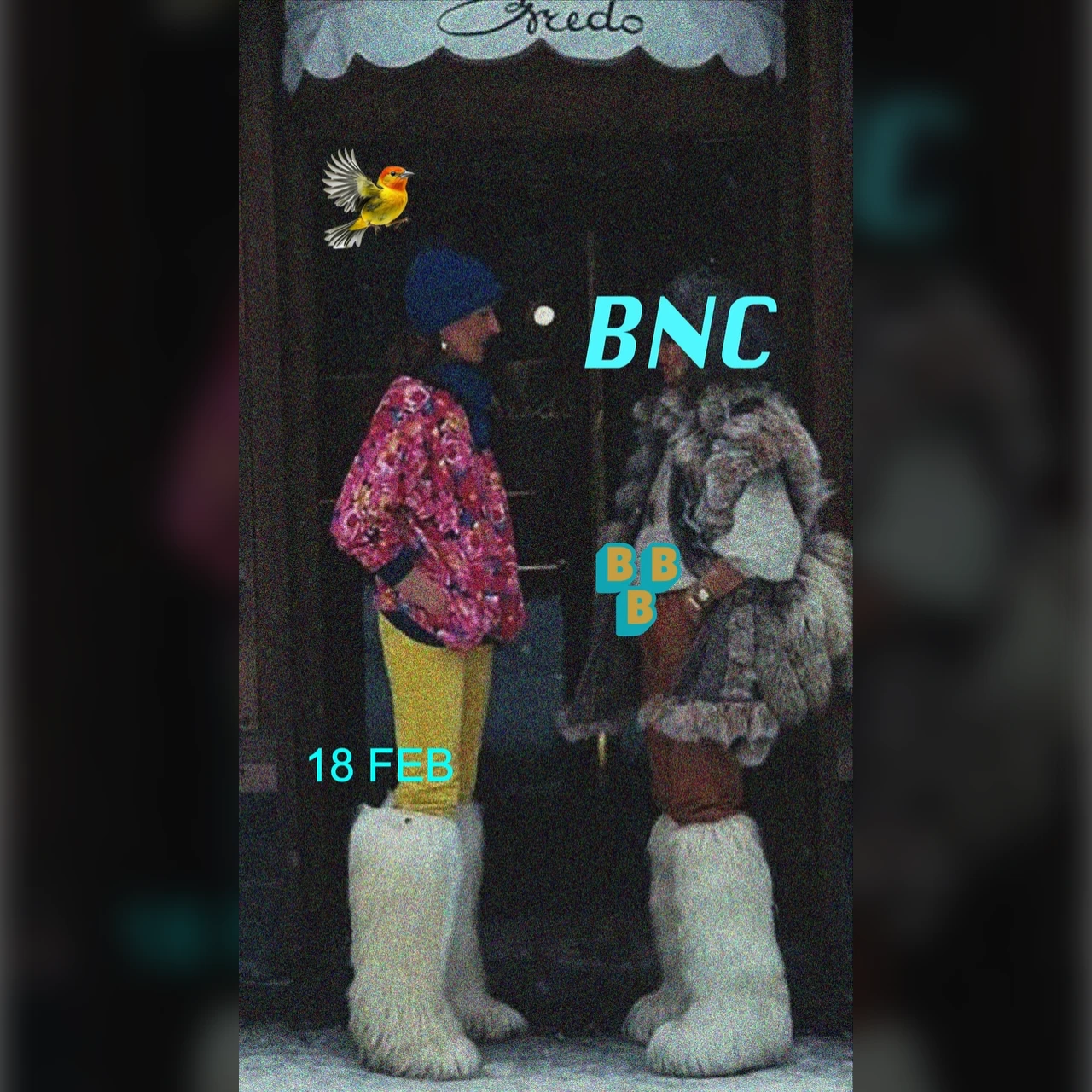 BNC