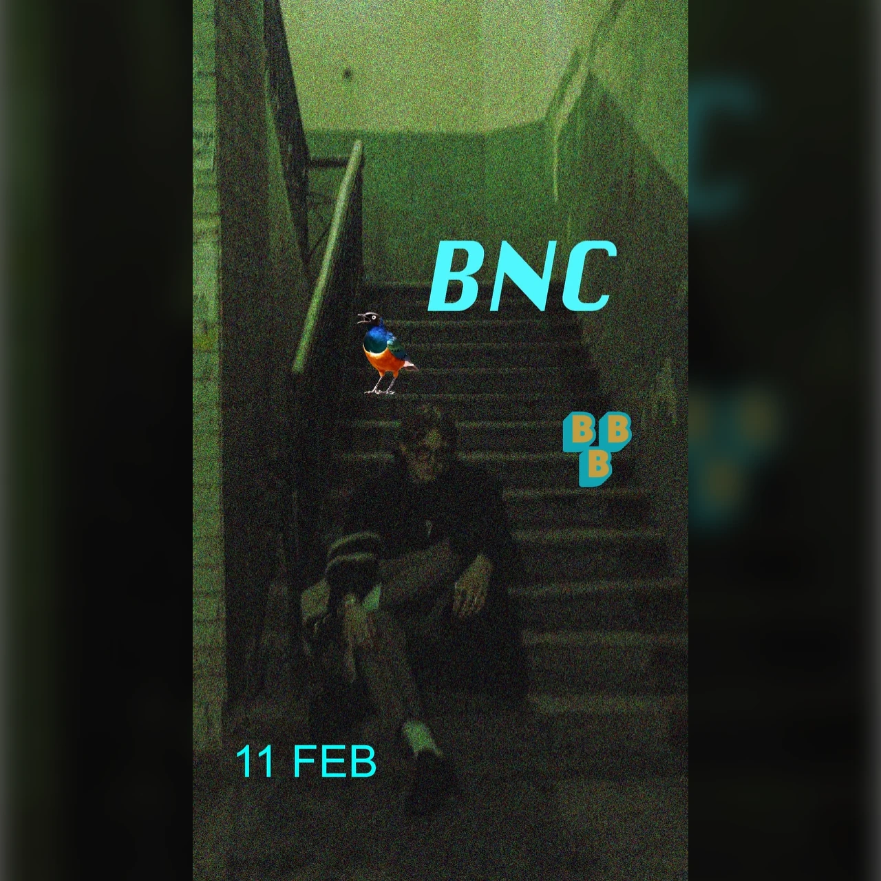 BNC
