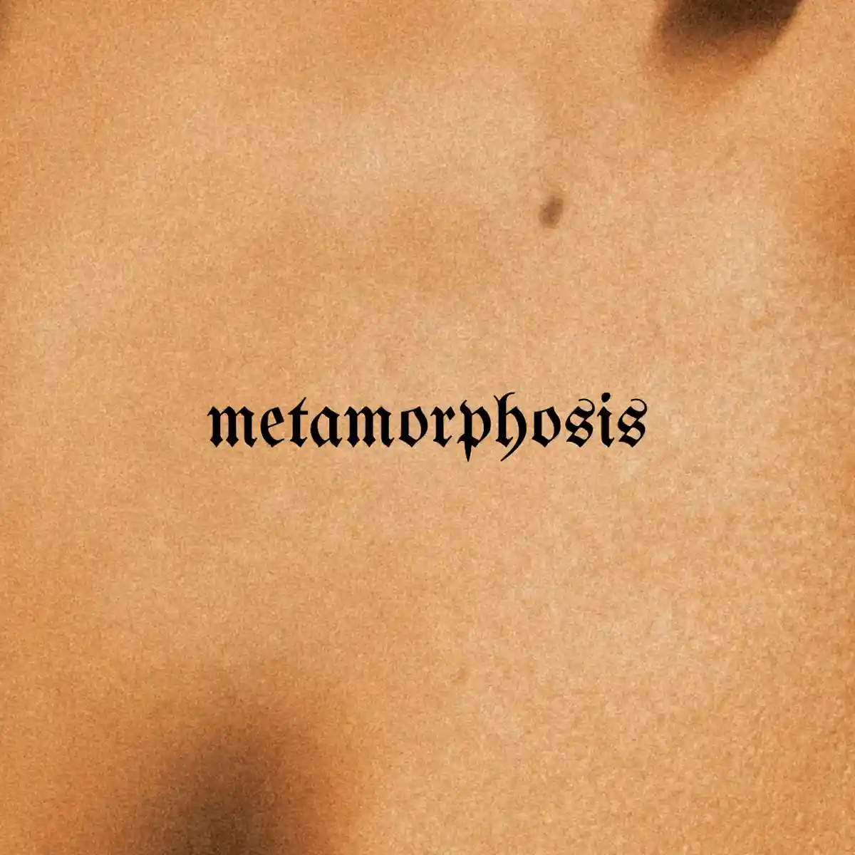 metamorphosis
