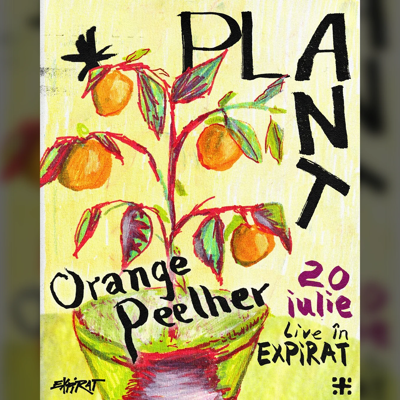 Plant & Orange Peelher