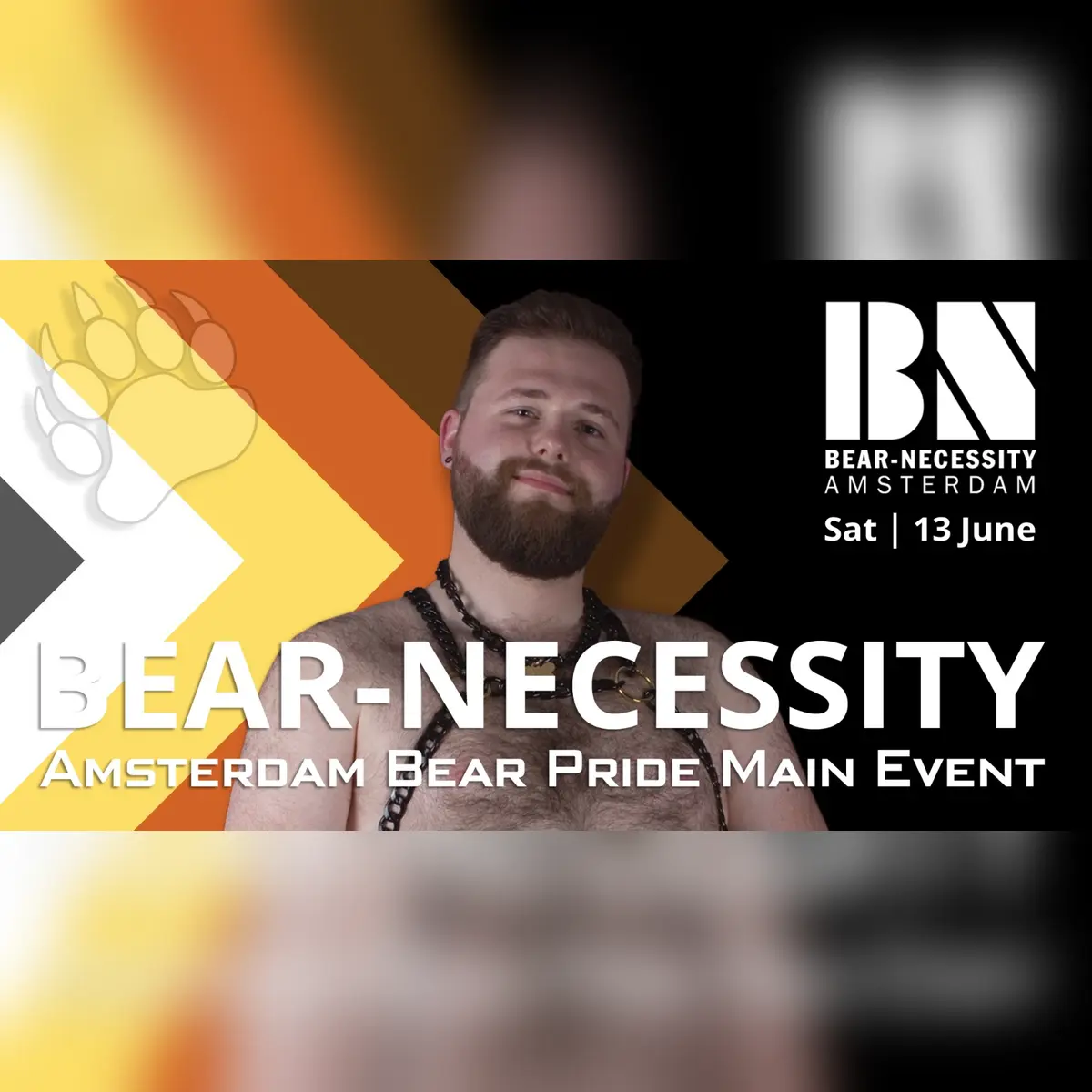 Bear Necessity