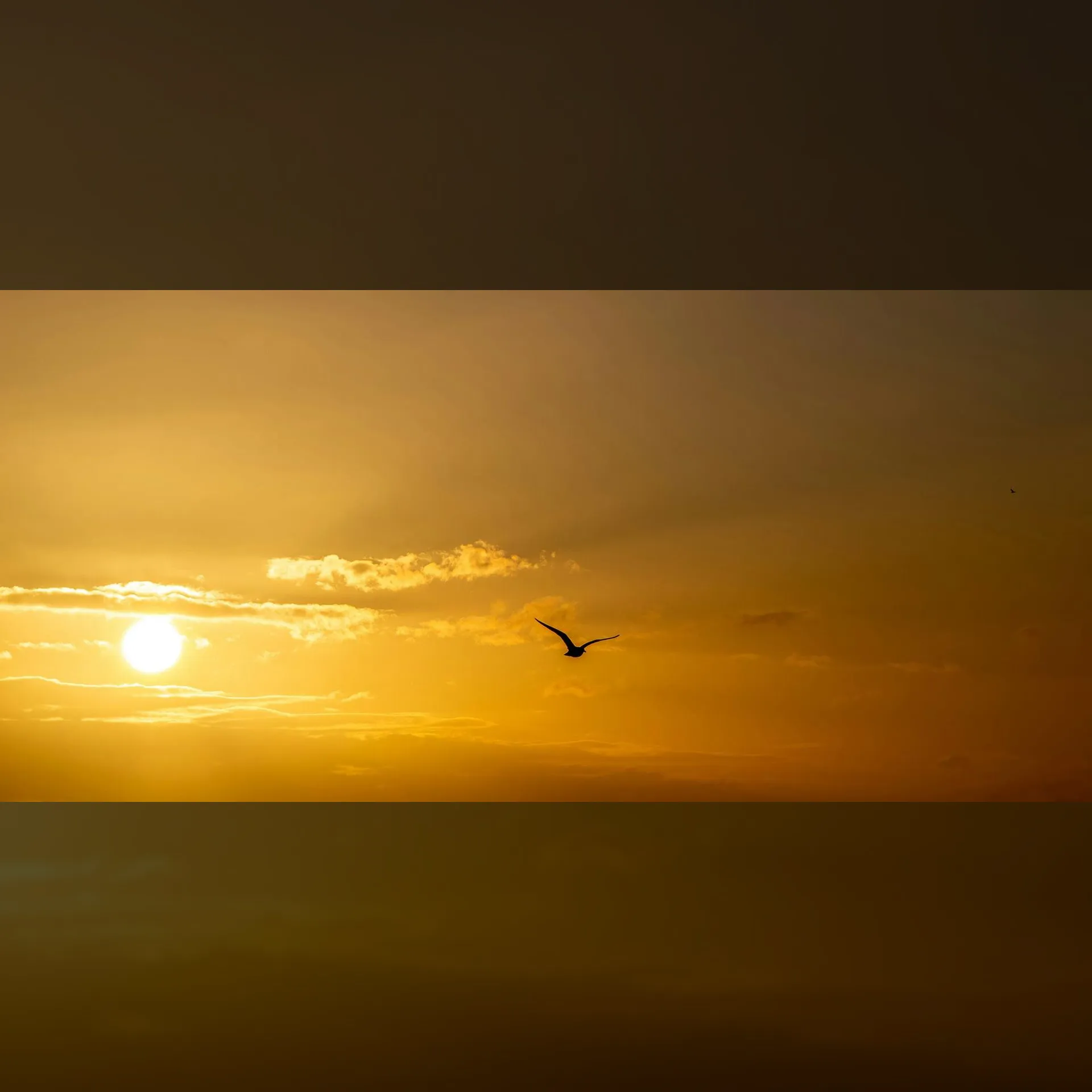 Sjostakovitsj en Prokofjev