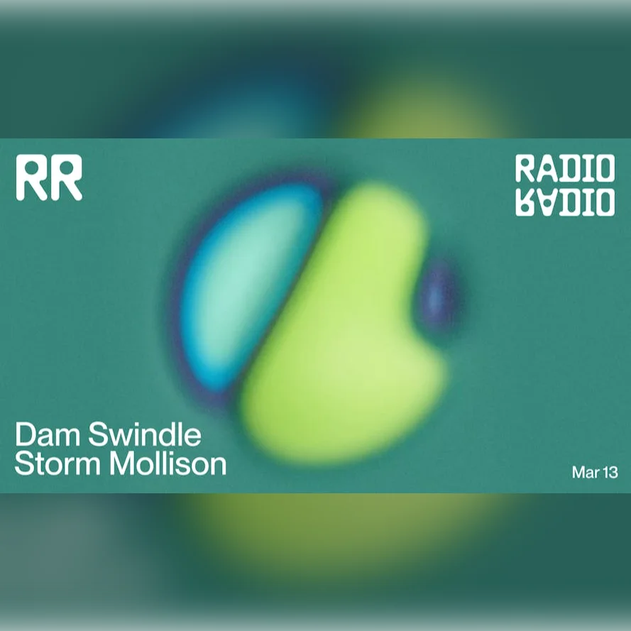 Dam Swindle • Storm Mollison