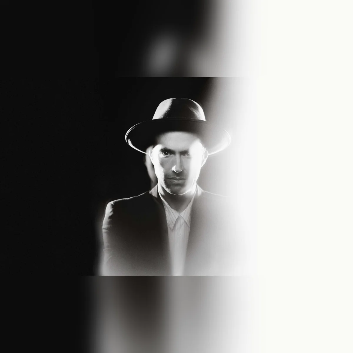 The Veils