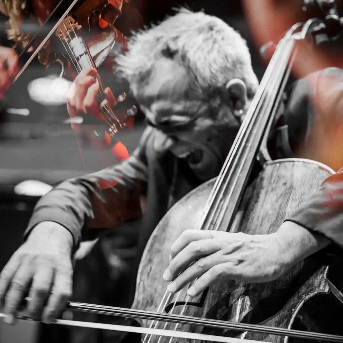 Sollima Baroque