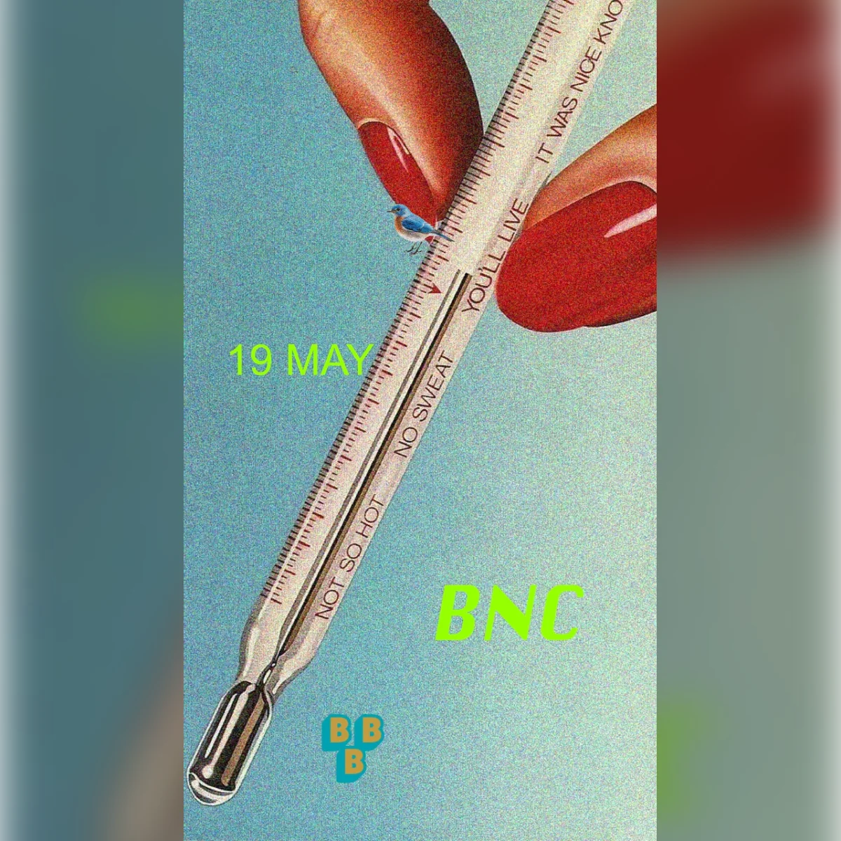 BNC