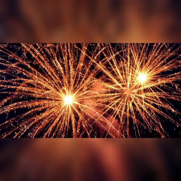 Proms: Happy New Year