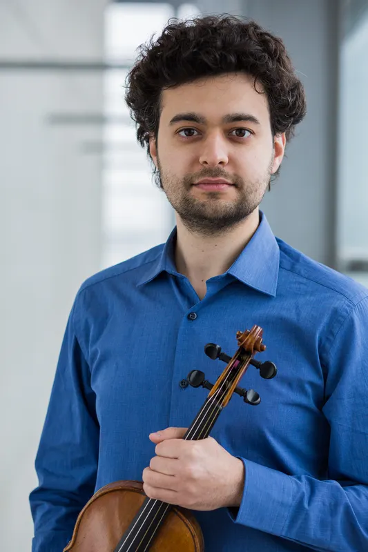 Voices of the Violin