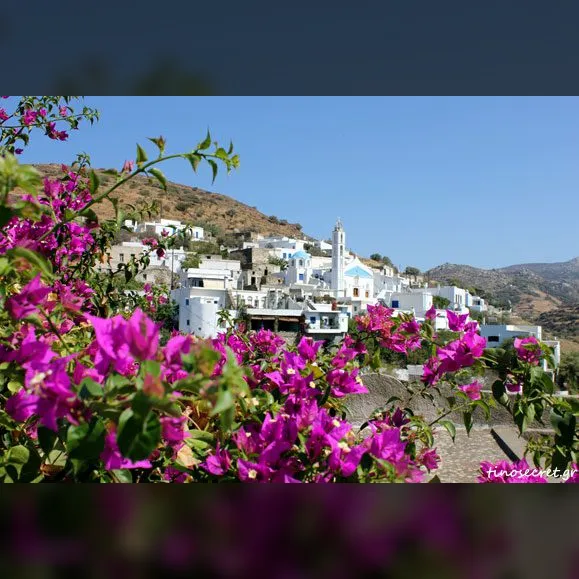 Νησιώτικο Γλέντι | Αγάπη 
