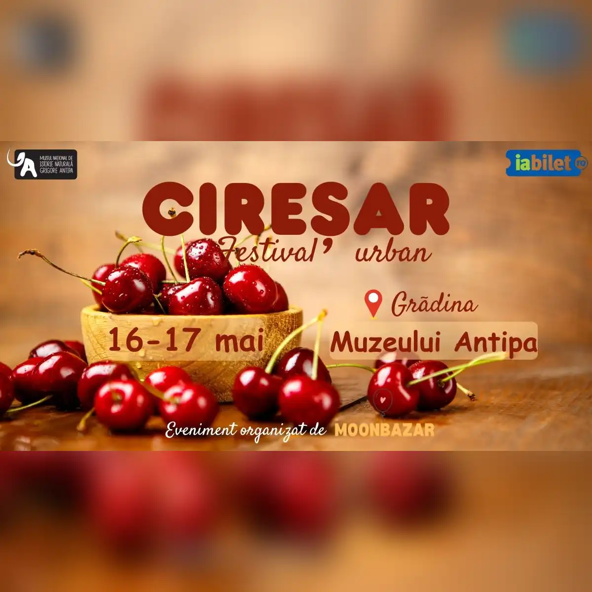 CIREȘAR-Festival Urban