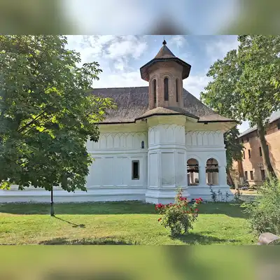 Photo 5