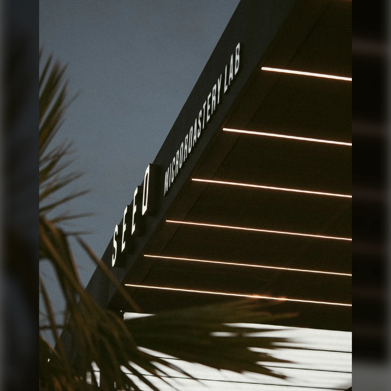 Seed Microroastery Lab