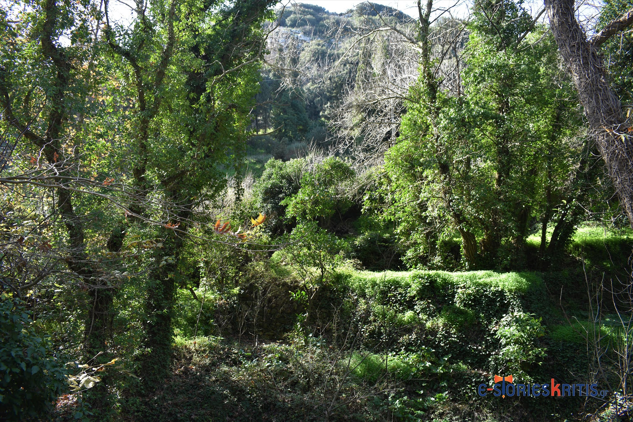 Φαράγγι Κάτω Βρύση