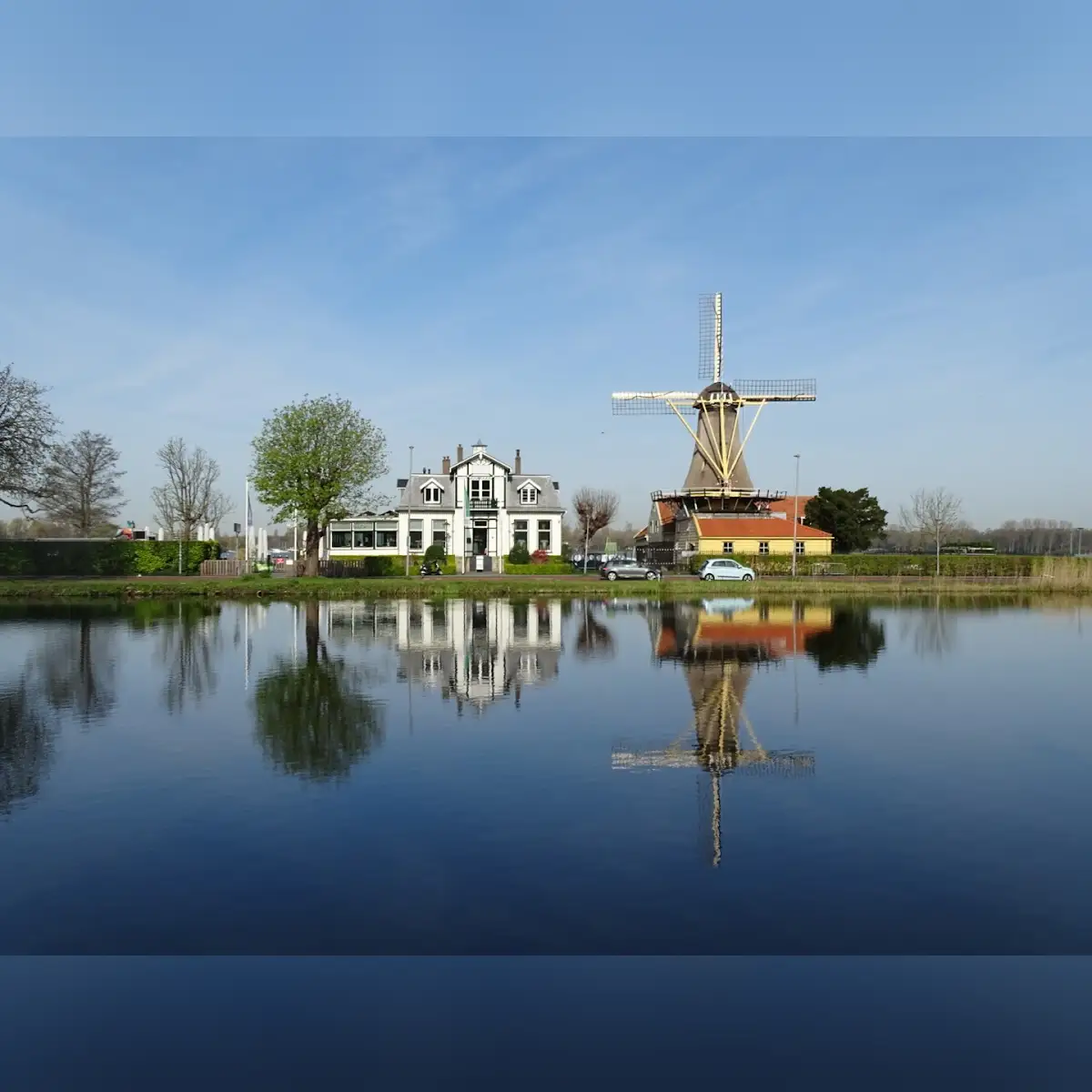 Kralingse Bos in Rotterdam