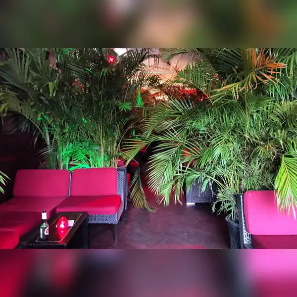 venue photo