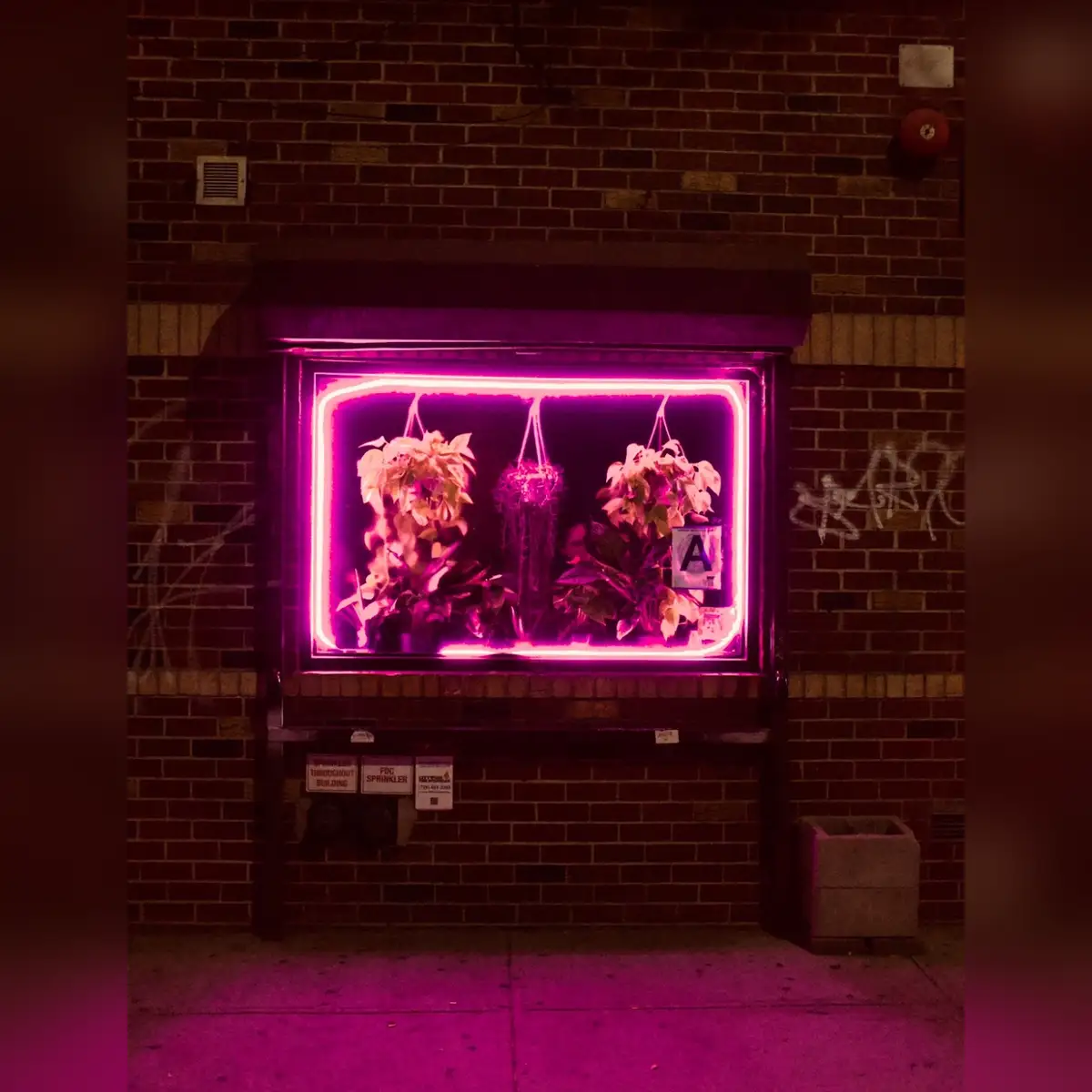 venue photo