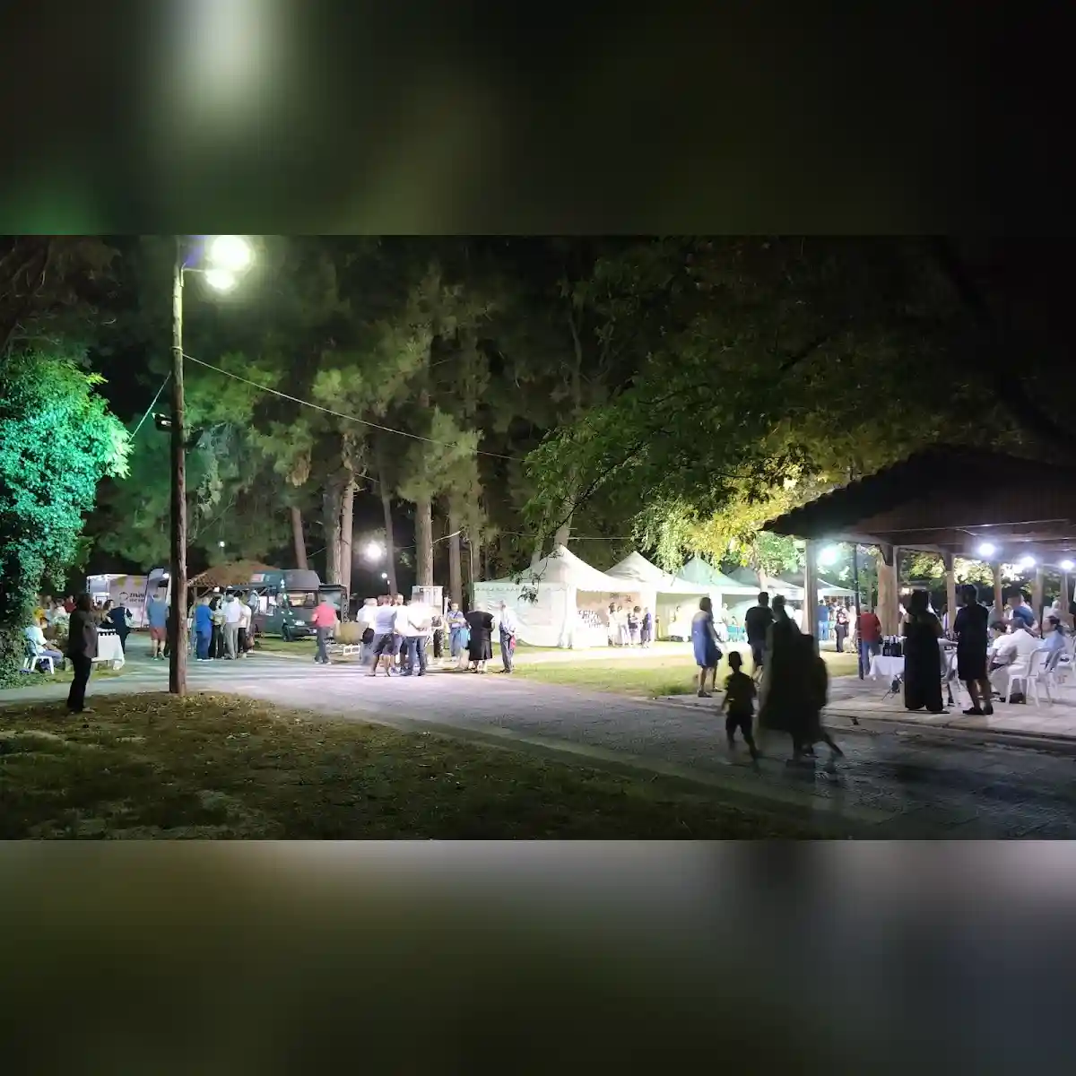 Άλσος Αγίου Γεωργίου Αμπελώνας Λάρισας (Γιορτή Κρασιού) in Larissa
