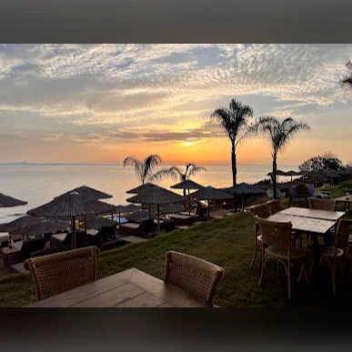 Palm Exclusive Beach Park