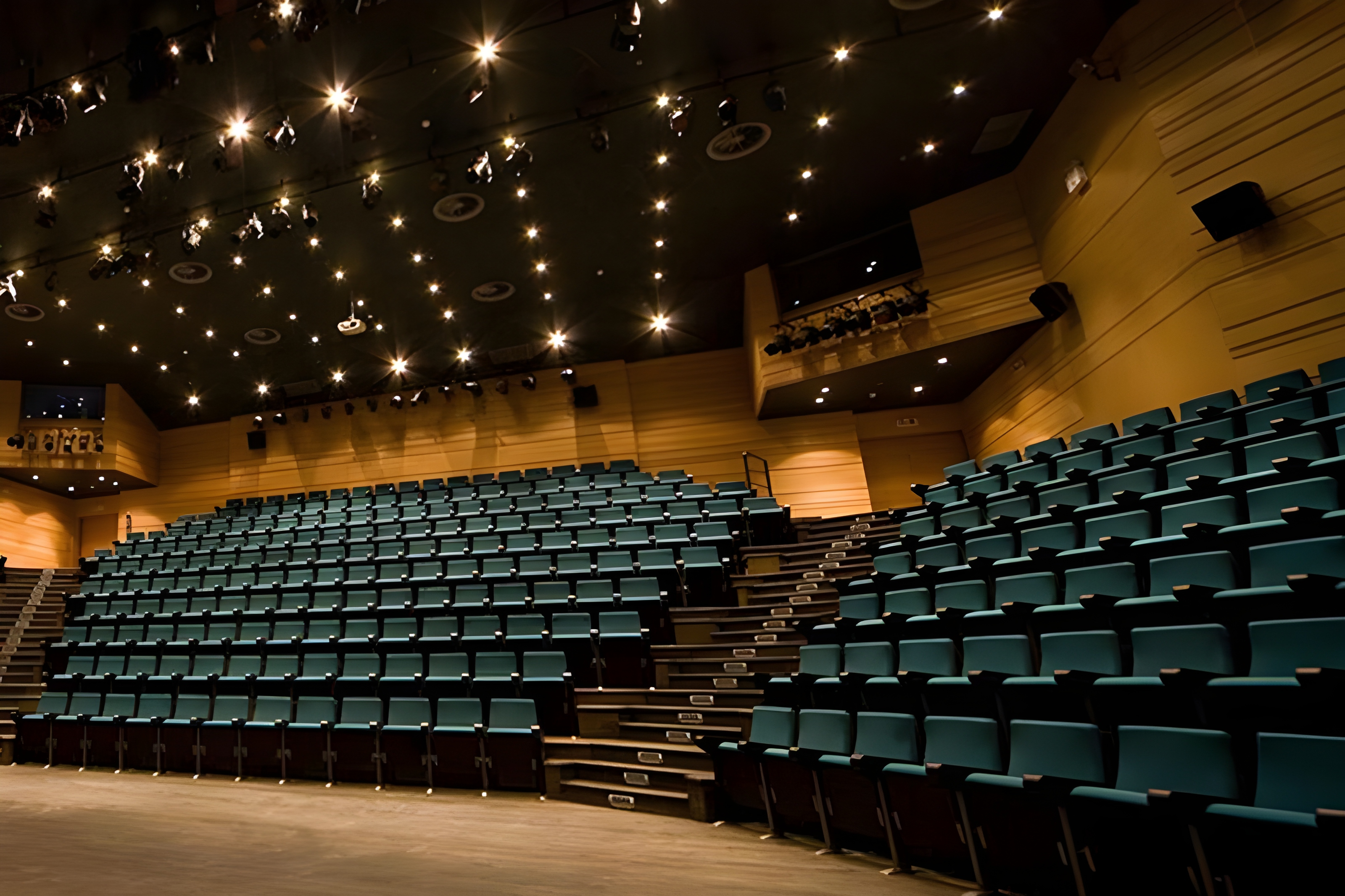 "Michael Cacoyannis" Foundation