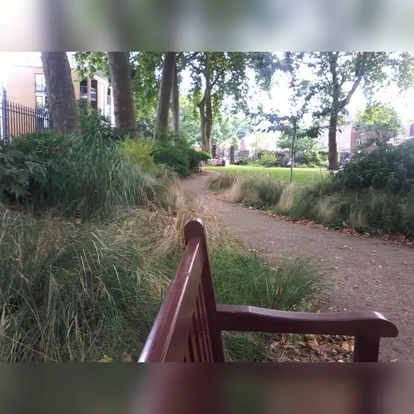 Photo 5