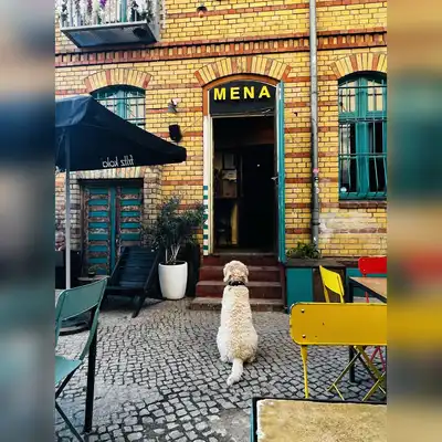 Mena Berlin in Berlin