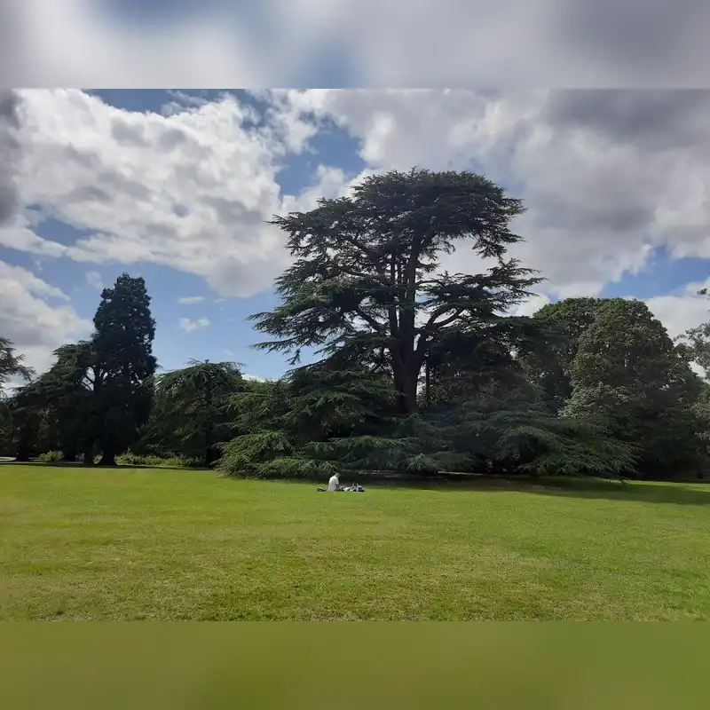 venue photo