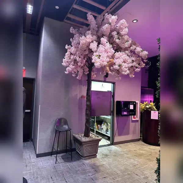venue photo