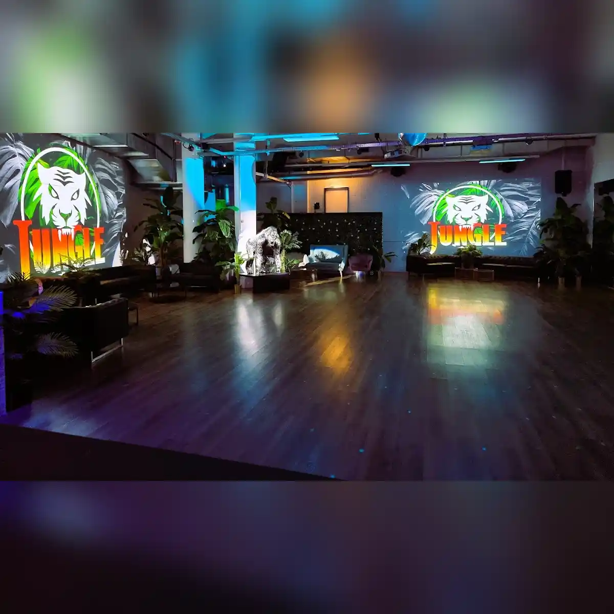 venue photo