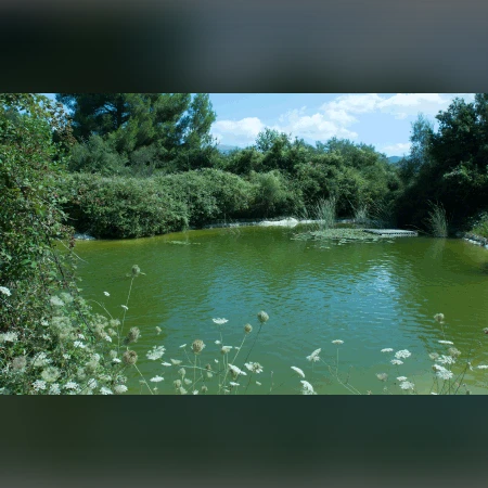 Βοτανικός Κήπος Κεφαλονιάς