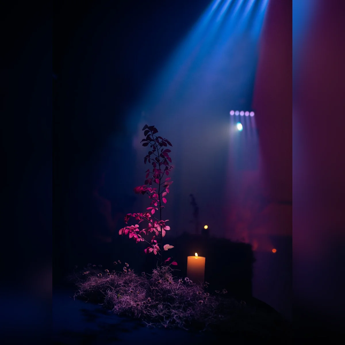 venue photo